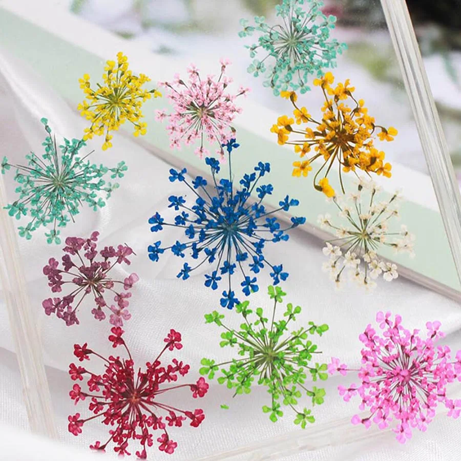 60pcs Pressed Dried 20-25mm Am - Dried Flower Bookmark 리뷰 및 가격