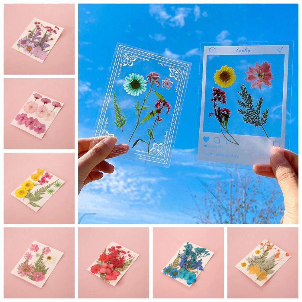 DIY Materials DIY Dried Flower - Dried Flower Bookmark 리뷰 및 가격