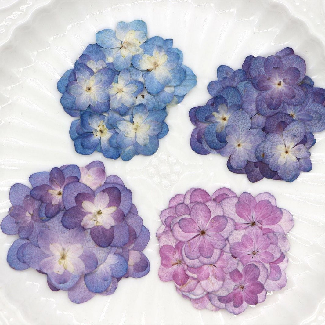 60Pcs Mini Double-Flowered Hyd - Dried Flower Bookmark 리뷰 및 가격