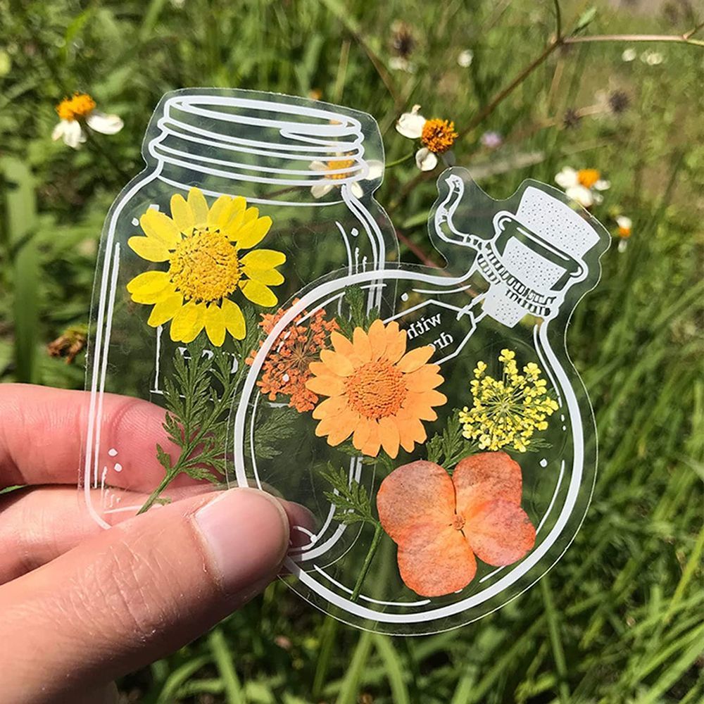 30Pcs Transparent Dried Flower - Dried Flower Bookmark 리뷰 및 가격