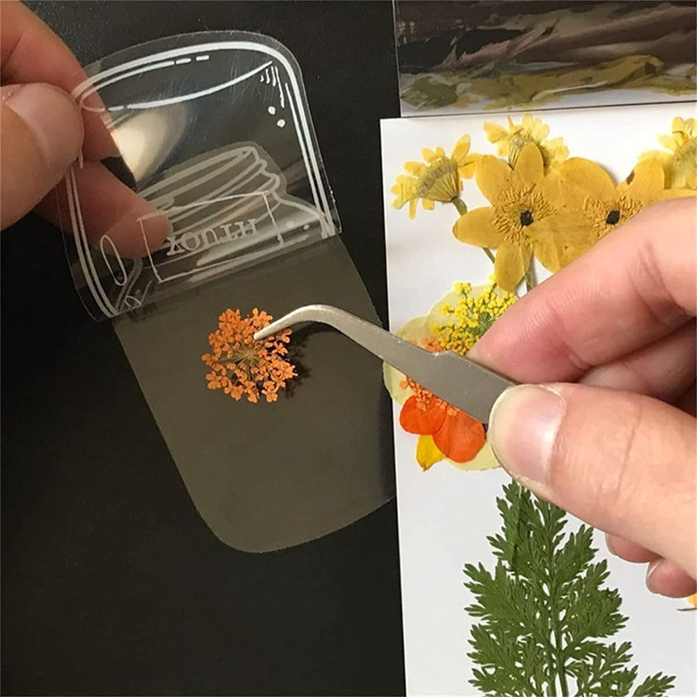 30Pcs Transparent Dried Flower - Dried Flower Bookmark 리뷰 및 가격